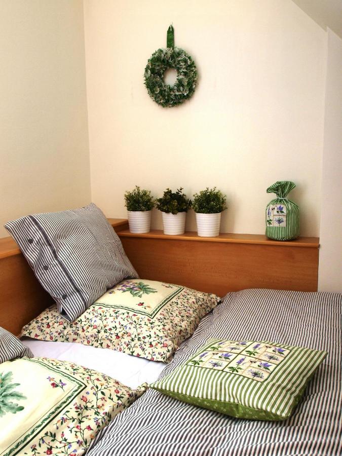 Apartman 6 U Sjezdovek Rokytnice nad Jizerou Bagian luar foto